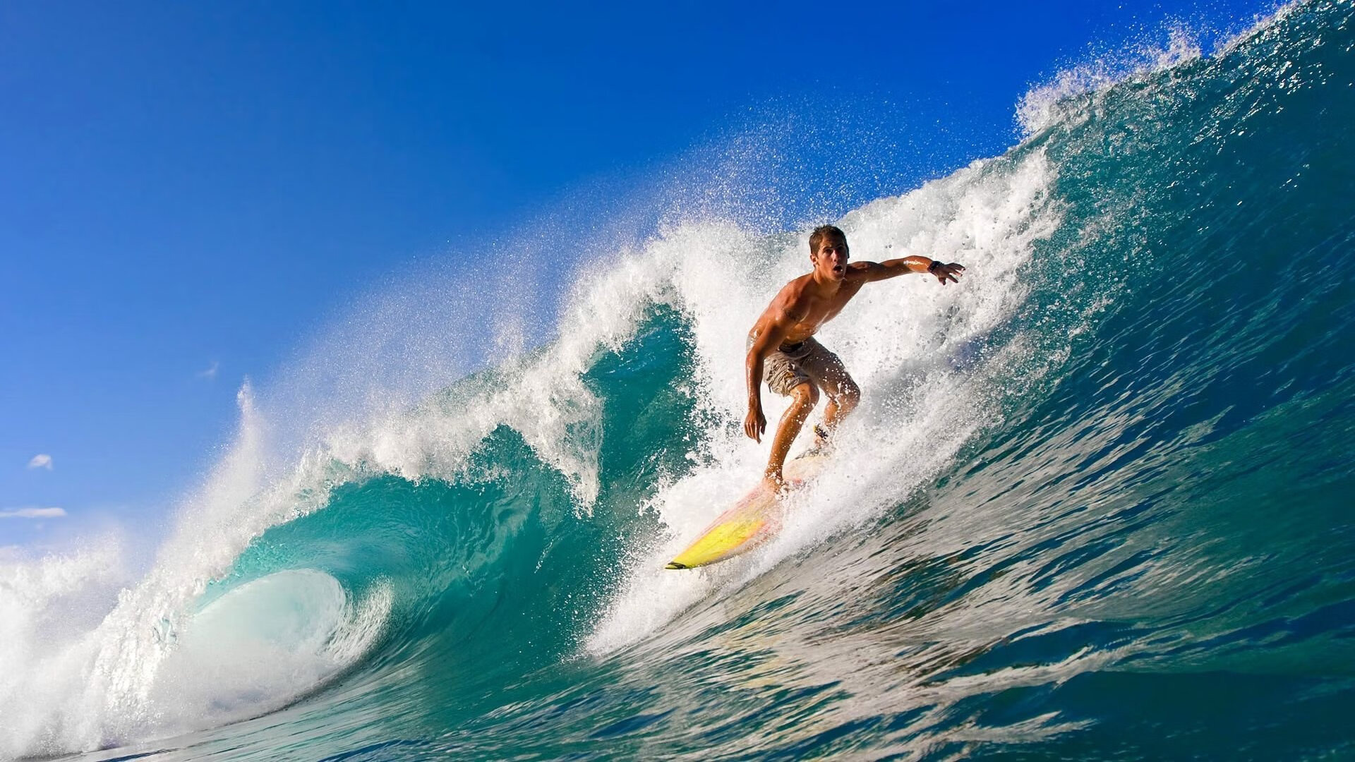 北美CS_GO战队再创世界纪录，csgo北美队伍