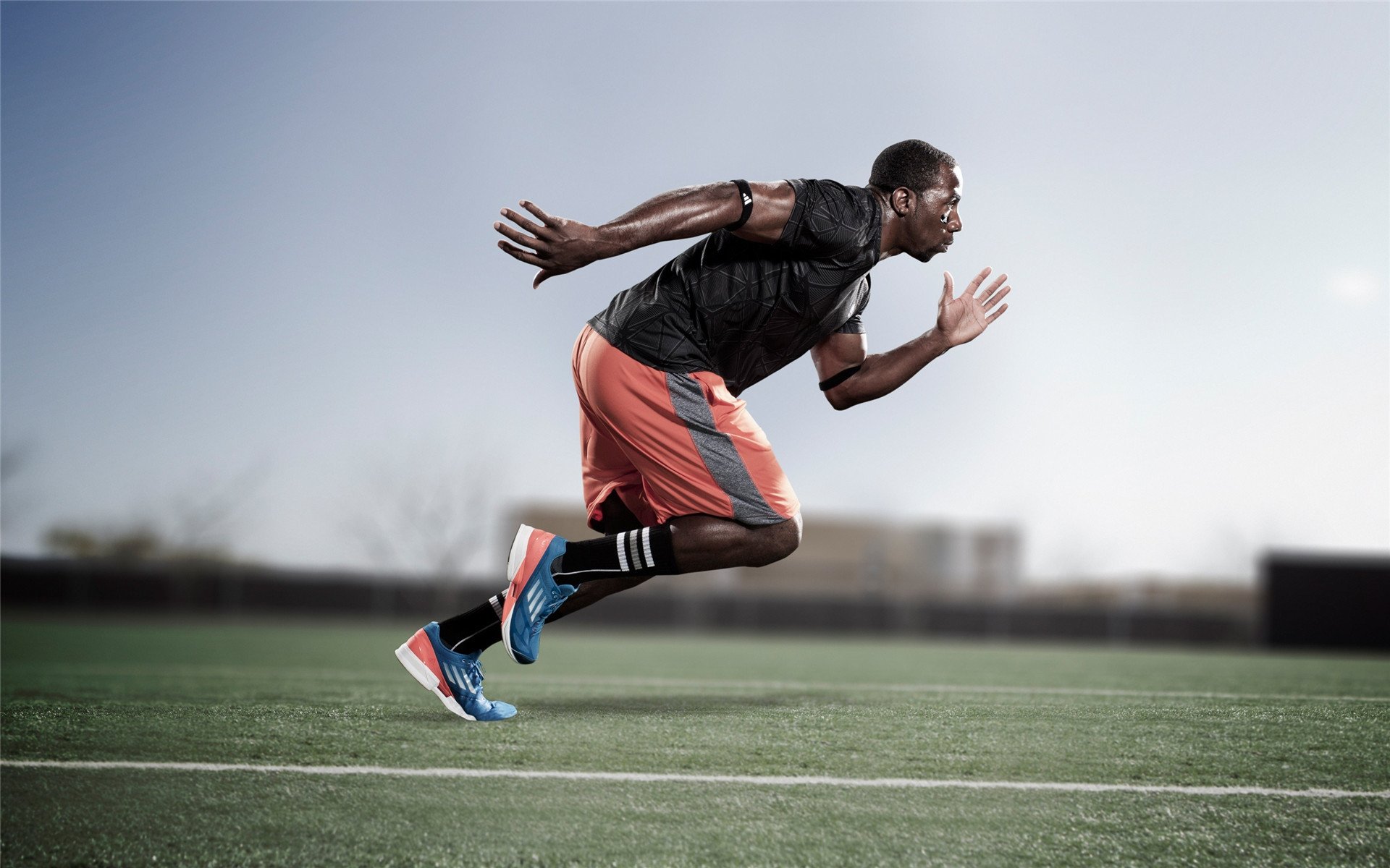 运动员成长档案:从新手到超级巨星的时间线,运动员成长过程